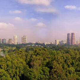 Mexico City Skyline by Georgia Clare