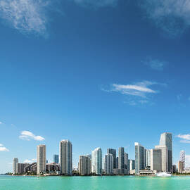 Miami Skyline by Ferrantraite
