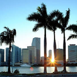 Miami Skyline Viewed Over Marina by Travelpix Ltd