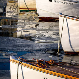 Michelle by Jeff Sinon