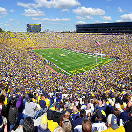 Michigan Stadium - Wolverines by Georgia Clare