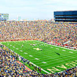 Michigan Stadium by Georgia Clare