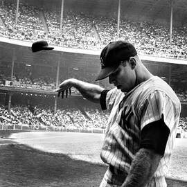 Mickey Mantle by Gianfranco Weiss