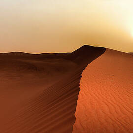 Middle Of Nowhere by Wajahat