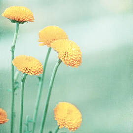 Minty Fresh by Carolyn Cochrane