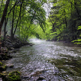 Mist on the River of Life by Louis Dallara