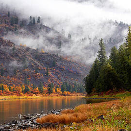 Misty Montana Morning by Mary Jo Allen