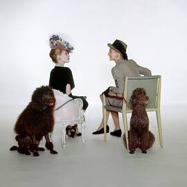 Models Sitting With Poodles by John Rawlings