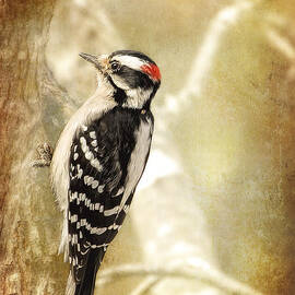 Monday Morning Downy by Bill and Linda Tiepelman