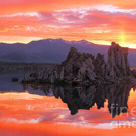 Mono Lake Fiery Sunset by Adam Jewell