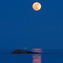 Moonlight Cruise by Jeff Sinon