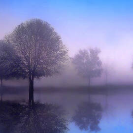 Moonlight Sonata by Jessica Jenney