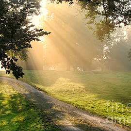 Morning on Country Road by Olivier Le Queinec