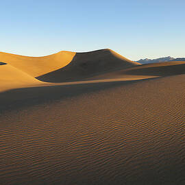 Morning Shadows by Joe Schofield