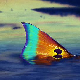 Morning Stroll by Kevin Putman