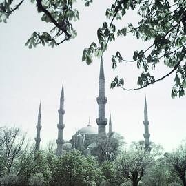 Mosque Behind Trees In Turkey by Horst P. Horst