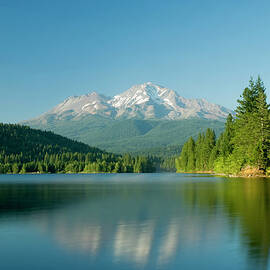 Mount Shasta Reflected In A Tranquil by Philippe Widling Design Pics