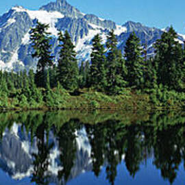 Mountain Springtime by Mary Jo Allen