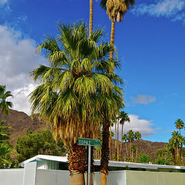 Mountains, Plants & Mid-century Home In by Jaylazarin