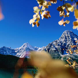 Mountains Surround Waterfowl Lake In by Ascent pks Media Inc.