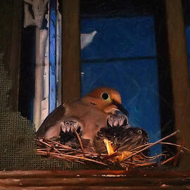 Mourning Dove With Chicks by Flees Photos