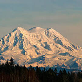Mt Rainier Winter Panorama by Mary Jo Allen