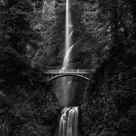 Multnomah Falls by Adam Mateo Fierro
