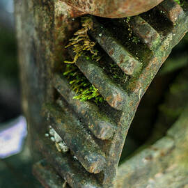 Nature Vs. The Machine by Georgia Clare