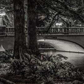 Navarro Street Bridge at Night by Steven Sparks