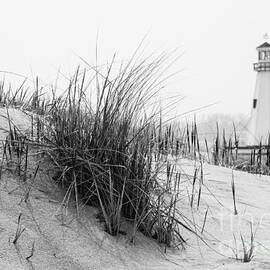 New Buffalo Michigan Lighthouse and Beach Grass by Paul Velgos