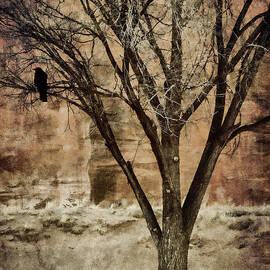 New Mexico Winter by Carol Leigh