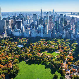 New York City Skyline, Central Park by Dszc