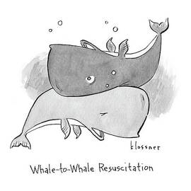 New Yorker April 24th, 2017 by John Klossner