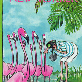 New Yorker January 15th, 1972 by Charles Saxon