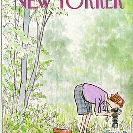New Yorker July 16th, 1984 by Charles Saxon