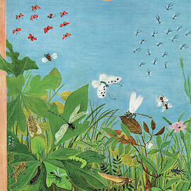 New Yorker June 9th, 1962 by Ilonka Karasz