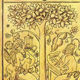 New Yorker March 14 1936 by Rea Irvin