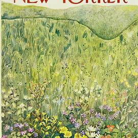 New Yorker May 22nd 1971 by Ilonka Karasz