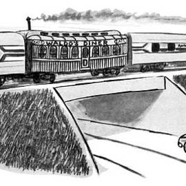 New Yorker May 22nd, 1978 by Warren Miller