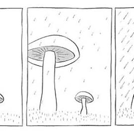 New Yorker October 2nd, 1971 by Richard McCallister