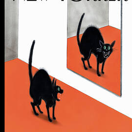 Scaredy Cat by Ian Falconer