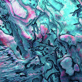 New Zealand Paua Shell In Blue Colors by Elen11