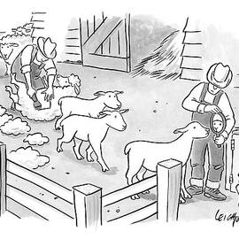 Newly-shorn Sheep Walk Out Of A Barn by Robert Leighton