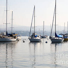 Newport Beach Bay Harbor California by Paul Velgos