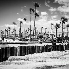 Newport Beach Dory Fishing Fleet Black and White Picture by Paul Velgos