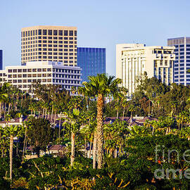 Newport Beach Skyline Picture by Paul Velgos