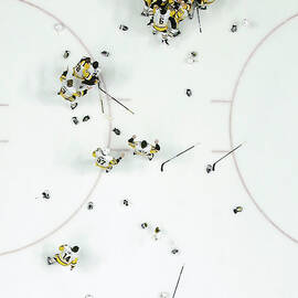 Nhl Jun 11 Stanley Cup Finals Game 6 - by Icon Sportswire