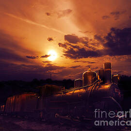 Night Train by Jelena Jovanovic
