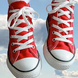 No Care in the World by Gianfranco Weiss