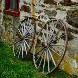 No more rolling by Richard Reeve